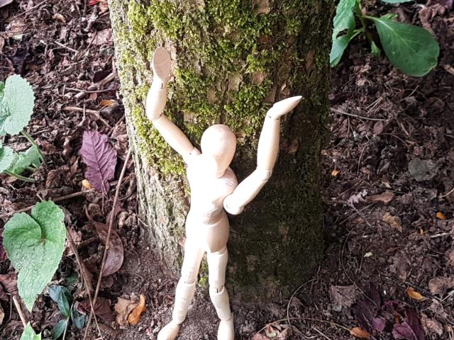 Ga je dan bomen knuffelen?